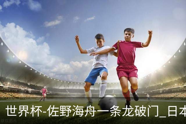 世界杯-佐野海舟一条龙破门 日本半场暂1-0领先巴西
