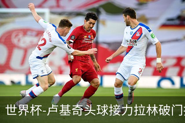 世界杯-卢基奇头球接力拉林破门扳平 加拿大1-1波黑