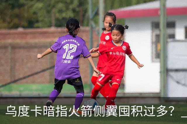 乌度卡暗指火箭侧翼囤积过多？ 尼克斯也有大量侧翼 问题是三分差