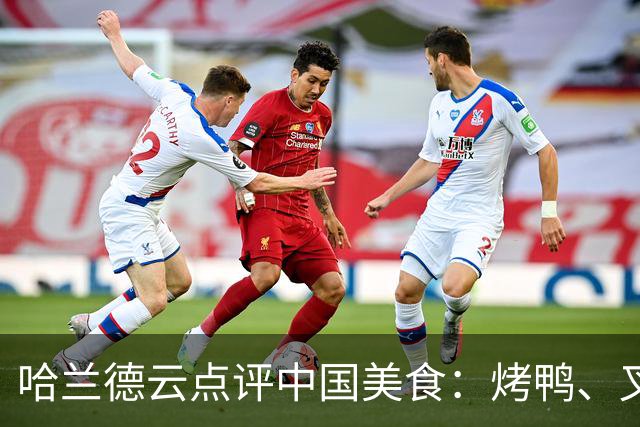 哈兰德云点评中国美食：烤鸭、叉烧、宫保鸡丁、肠粉、西红柿炒蛋