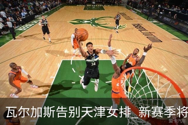 瓦尔加斯告别天津女排 新赛季将全程代表费内出战